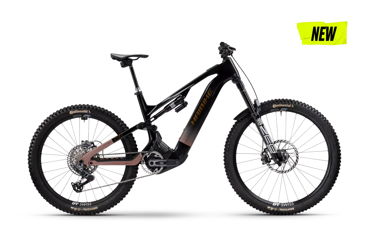 Haibike Hybe CF 11 2025